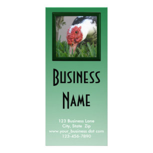 Panfleto Olho do Modelo do Duck Close-up Photo Business