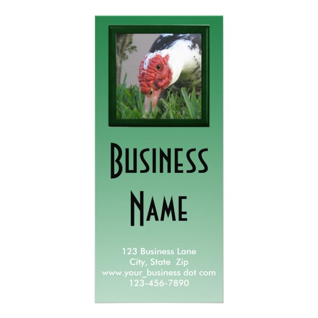 Panfleto Olho do Modelo do Duck Close-up Photo Business (Frente)