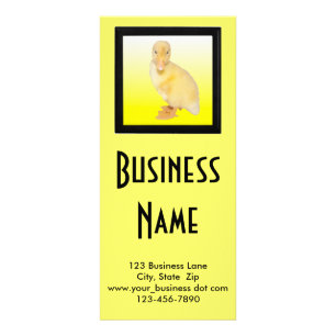 Panfleto Personalização Adorável De Cuidados Animais De 