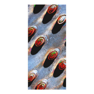 Panfleto Pinos antigos