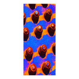 Panfleto Pinos antigos