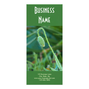 Panfleto Poppy em Andamento