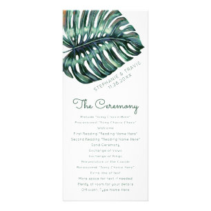 Panfleto Programa "Monstera Leaf Skinny"