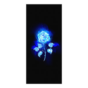 Panfleto Rosa Azul Ardente