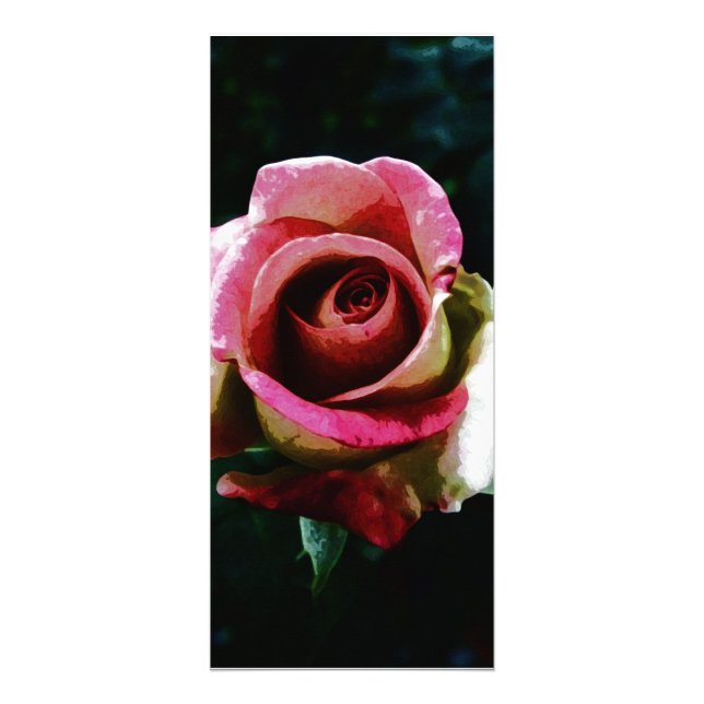 Panfleto Rosa vermelha pintada a óleo (Frente)