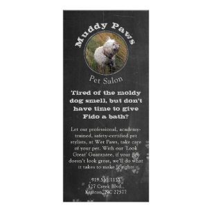 Panfleto Serviços de Higienização de Cães em Quadro Negro