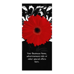 Panfleto Vermelho brilhante Gerbera Daisy em preto