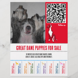 panfletos de cachorro Great Dane ou Cães