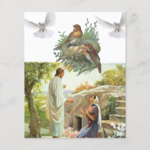 Panfletos de Jesus Cristo