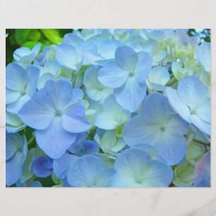 Panfletos Florais Personalizados Blue Hydrangeas F