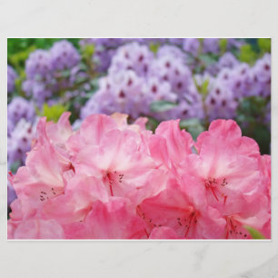 Panfletos Personalizados criam Flores Florais Rhod