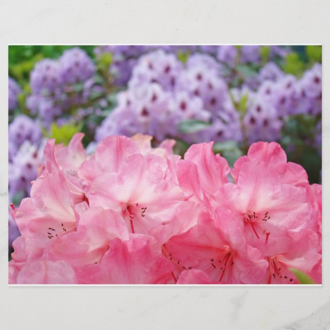 Panfletos Personalizados criam Flores Florais Rhod (Frente)