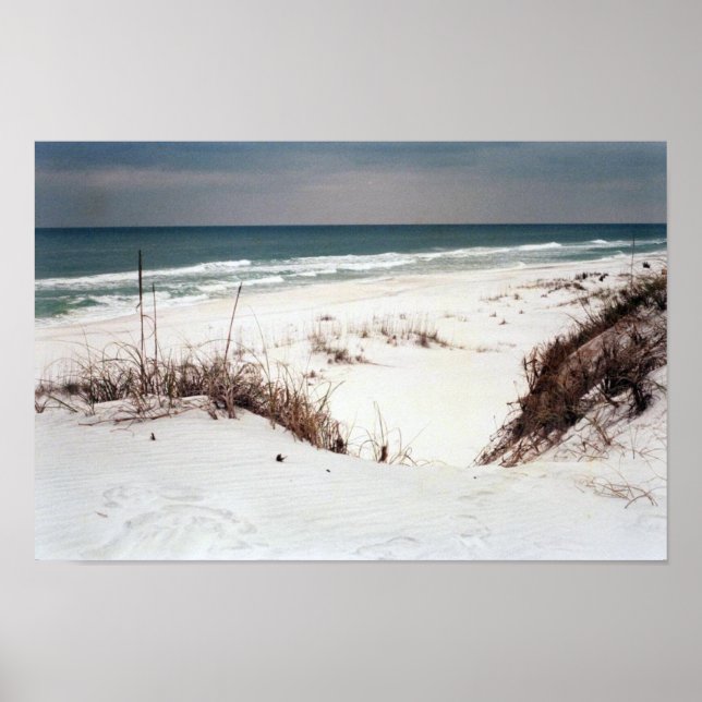 Panhandle Beach Poster (Frente)