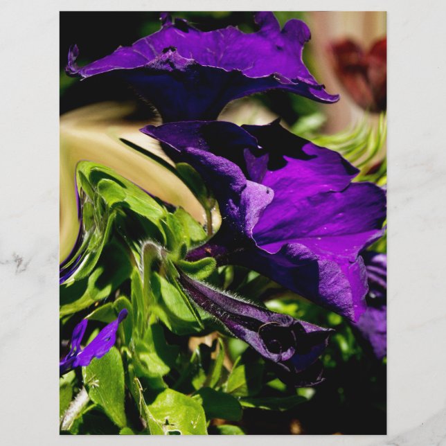 Pânico Roxo (Frente)