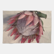 Aquarela Protea