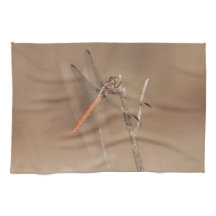 Asas de Dragonfly Dourada