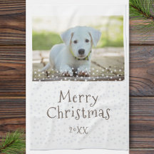 Cachorro Festivo Foto de Animais de Estimação Feli