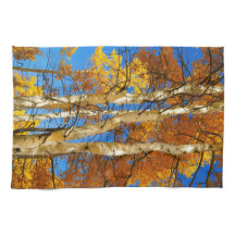 Cor de Cima Cobra Natureza Fotografia © Sandy Long