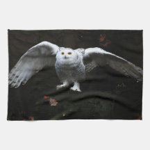 Coruja de Neve com Asas Abertas