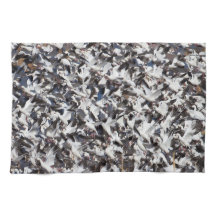 Desativação de Snow Goose