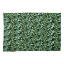 Folhas de Tora Verde