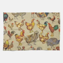 Galo Galinha-Fazenda Animal