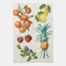 Ilustrações de Frutas Antigas