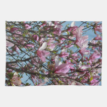 Magnolia Rosa Flores Bloqueia