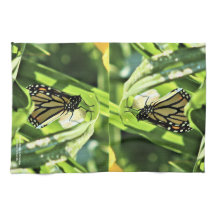 Monarca Emerges no Jardim