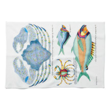 Peixes e Caranguejos em Papel Antigo