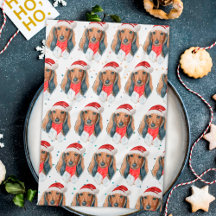 Raça de Cachorro Dachshund Natal