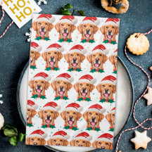 Raça de Cachorro Retriever Dourado Natal