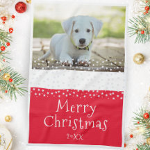 Red Dog Pet Photo Stars Feliz Natal