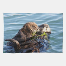 Sea Otter e filhote com kelp