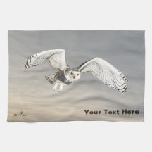 Snowy Owl