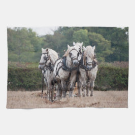 Pano De Prato Uma equipe de Percheron