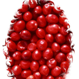 Pano De Prato Vermelho