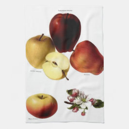 Pano De Prato Vintage Apple Tea Towel