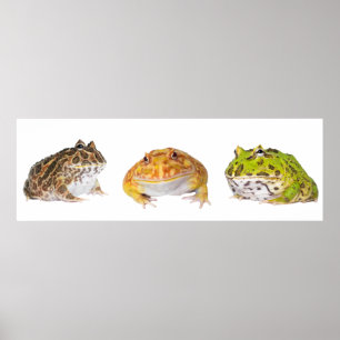 Panorama do poster de Pacman