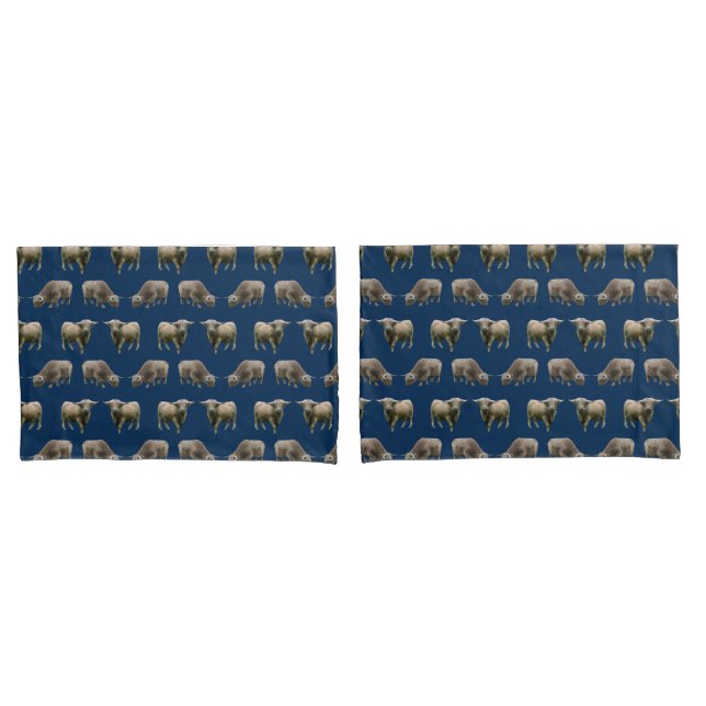 Panos de Almofada Frenesi da Vaca das Terras Altas (Frente - conjunto)