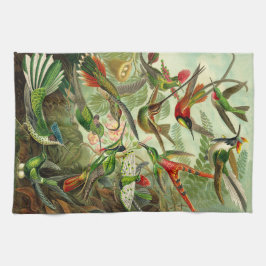 Panos De Prato Ilustração do colibri de Ernst Haeckel