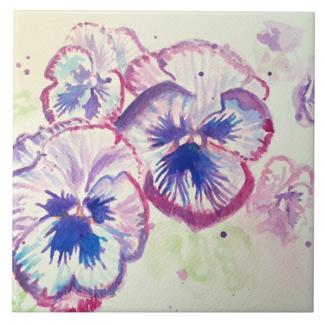 Pansias Pansíveis Flor Púrpura Rosa (Frente)