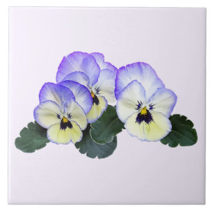 Pansies Roxas e Creme
