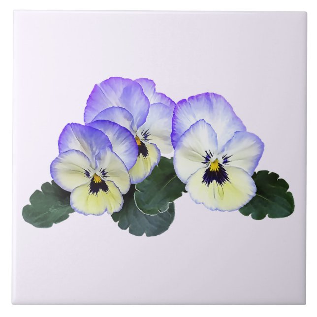 Pansies Roxas e Creme (Frente)
