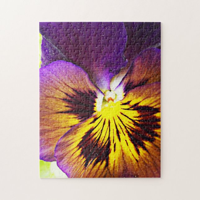 Pansor roxo e amarelo - Quebra-cabeça (Vertical)