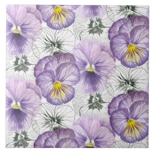 Pansy