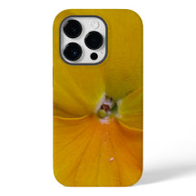 Pansy Amarelo