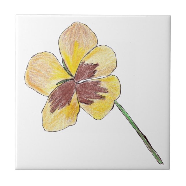 Pansy Amarelo (Frente)