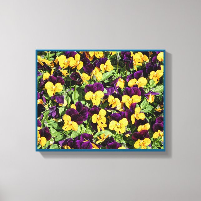 Pansy Overload Stretered Canvas Print (Frente)