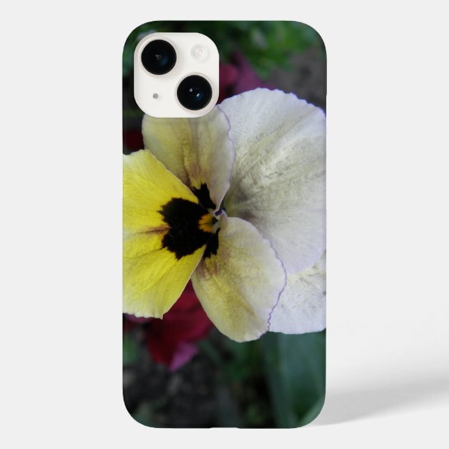 Pansy White e Yellow (Verso)